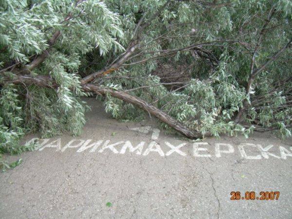 Набережные Челны: конкурсы, фото челнинцев и города - Челны ЛТД