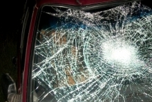 Лось разбил лобовое стекло автомобиля.
