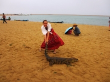 Пляж, море…крокодил