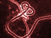 Врачи в Набережных Челнах следят за лихорадкой Эбола в Африке