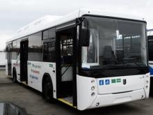 КАМАЗ поставит в Набережные Челны, Зеленодольск и Бугульму 117 автобусов