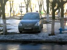 Водители, паркуясь на газоне, установили самовольные ограничители парковки