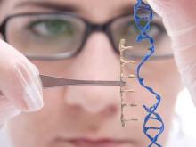 Ученому в Британии разрешена «генная терапия» эмбрионов чловека