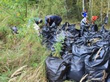 Туристы оплачивают вывоз мусора из парка 'Нижняя Кама'