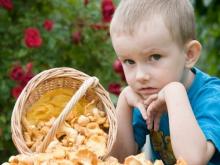 Минздрав РТ: детям до 14 лет есть грибы вредно