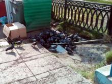 Салон сотовой связи на Набережночелнинском проспекте сливал отходы прямо на улицу