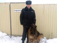 Полицейский забрал на службу немецкую овчарку из приюта для бездомных животных