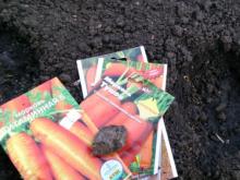 Бесплатные семена для садоводов: Татпотребсоюз ждет решения челнинского горисполкома
