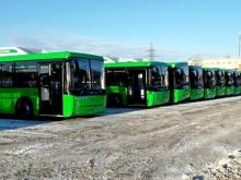 «РариТЭК» приготовил автобусы «Нефаз» для обслуживания чемпионата мира по футболу - 2018