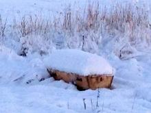 Из-за снежного бездорожья в Башкирии гроб с покойником три дня пролежал на обочине дороги