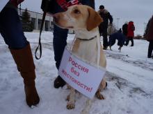 На организатора пикета в защиту животных в Набережных Челнах составили протокол