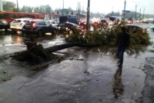 Во время урагана в Казани пострадало 19 человек, повалено 930 деревьев, повреждено 230 автомобилей