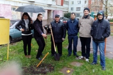 Роман Муралёв позвал соседей сажать деревья во дворе дома 42/08